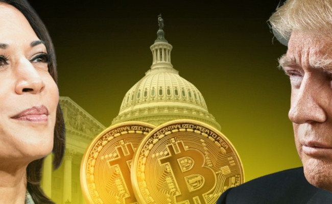 Руководители криптовалютных компаний ожидают улучшение нормативной среды после выборов в США