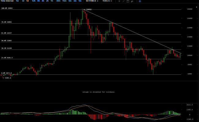 Fibonacci levels suggest strong bullish momentum for Bitcoin
